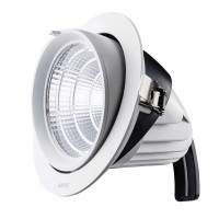LED Downlight âm trần Chiếu điểm, Điều chỉnh hướng sáng 50W ánh sáng vàng DLA-50V